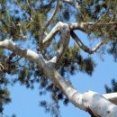 백송행정사사무소 이미지