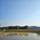 우산공원 주차장 이미지