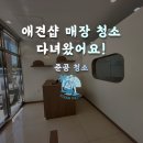 이쁘개 애견샵 | [양산 청소 업체] 클린오아시스｜소형 애견샵 오픈 전 인테리어 준공청소 후기