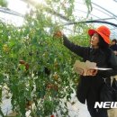 한마음공동체영농조합법인