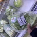 진주텃밭 초전점 이미지