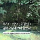 오남매스토어 | 전주근교 계곡 추천｜취사 가능한 동상계곡 하류 노지, 아이랑 매년 가는 물놀이 명소