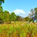 다산생태공원 이미지