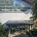 서귀포테니스장(실외) | 제주도 로망 끝판왕_서귀포테니스장 실내코트 방문 후기 및 예약 방법