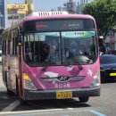 코사보성마트 이미지