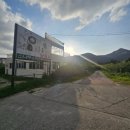 소나무(오리명가) 이미지