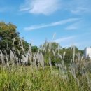 썸피싱카페 이미지