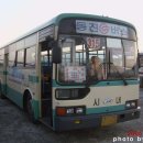 동진버스 이미지