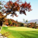 오투사우나 이미지