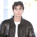 차은우 카카오 검색결과