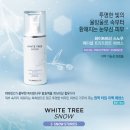 더화이트B 이미지