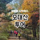 평창 오대산 중대 신중도 | 오대산 선재길 등산코스 비로봉까지, 2025 가을단풍 여행 추천