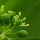 홍이농장 이미지