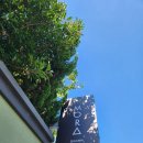 모라스테이 이미지