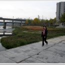 송정둑길 이미지