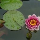 방초초등학교 이미지