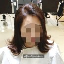 장헤어존