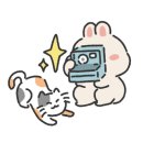 파도와노을캠핑장 이미지