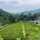 수동목장 이미지