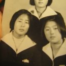 뉴스타사진관