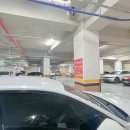 멜로우 그루밍 이미지