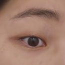 검암동물병원 | [인천 서구] 속눈썹 펌 맛집 아비에르 에스테틱&amp;뷰티 인천점 후기