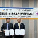 보령항공