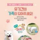 파트라슈반려견학교 네이버블로그