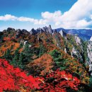 장*운 - 미추홀구 학익소로63번길 37 | 장*운