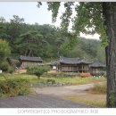 영천 귀애정 | [ 영천 가볼만한곳 ] 조선 후기 문신인 귀애 조극성의 정자 영천 귀애정