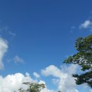 농협보험설악수련원 이미지