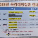 고덕성심소아청소년과의원 네이버블로그