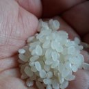 고맛나루공주시농협쌀조합공동사업법인 이미지