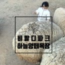 서유목장 이미지