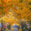 향동 행정복지센터 이미지