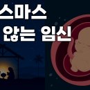 생명의 시작 이미지