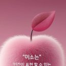 화산식품