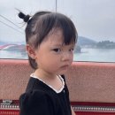 도도한걸 - 사천시 나무전길 12 | 사천 아이랑 가볼만한 곳 / 사천바다케이블카 타고 하식이가 있는 아라마루 아쿠아리움 가기(통합권 구입)