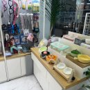 리얼독스 강아지분양 일산본점 이미지