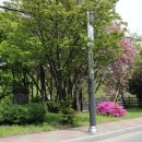 옛사랑주막 이미지