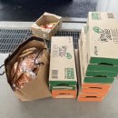 오세중 | 🐳 어촌봉사활동 🐳