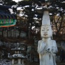 장군생고기정육점