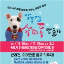 속초시 농업기술센터 뉴스1