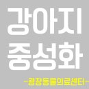 광장동물병원 이미지