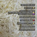 제이롱롱