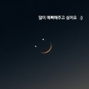 여우골옻닭 | 어렵게 모셨습니다..