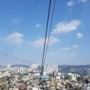 쉬즈스킨