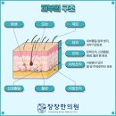 창창한의원 이미지