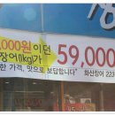 화산장어 이미지