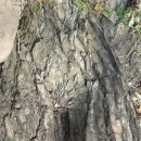 거산어린이집 이미지